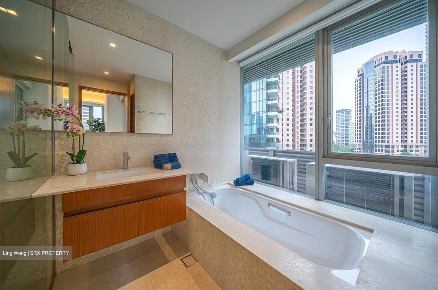Skyline @ Orchard Boulevard (D9), Apartment #449920701